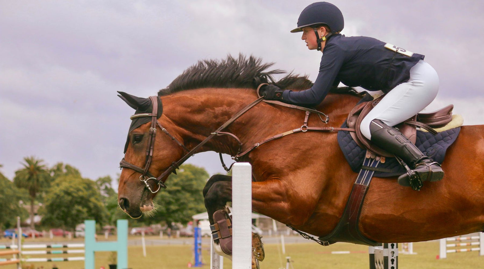 AnnieBaird-HippoHealthSponsoredRider