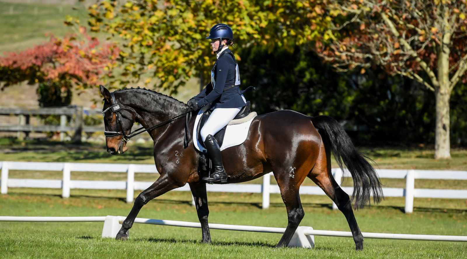 Carys McCrory #hipposponsoredrider