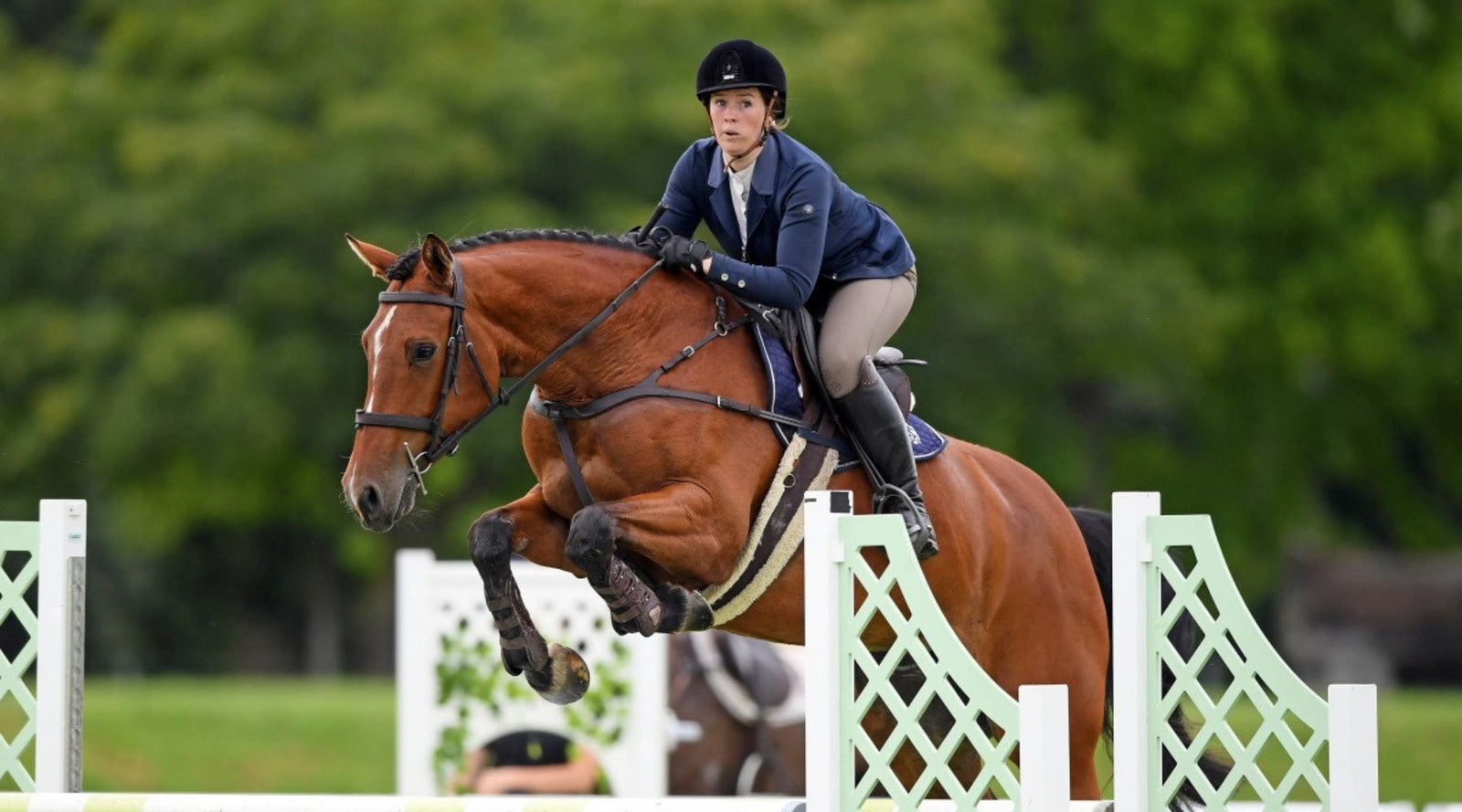 HANNAH STEENS – SHOW JUMPER & HUNTER