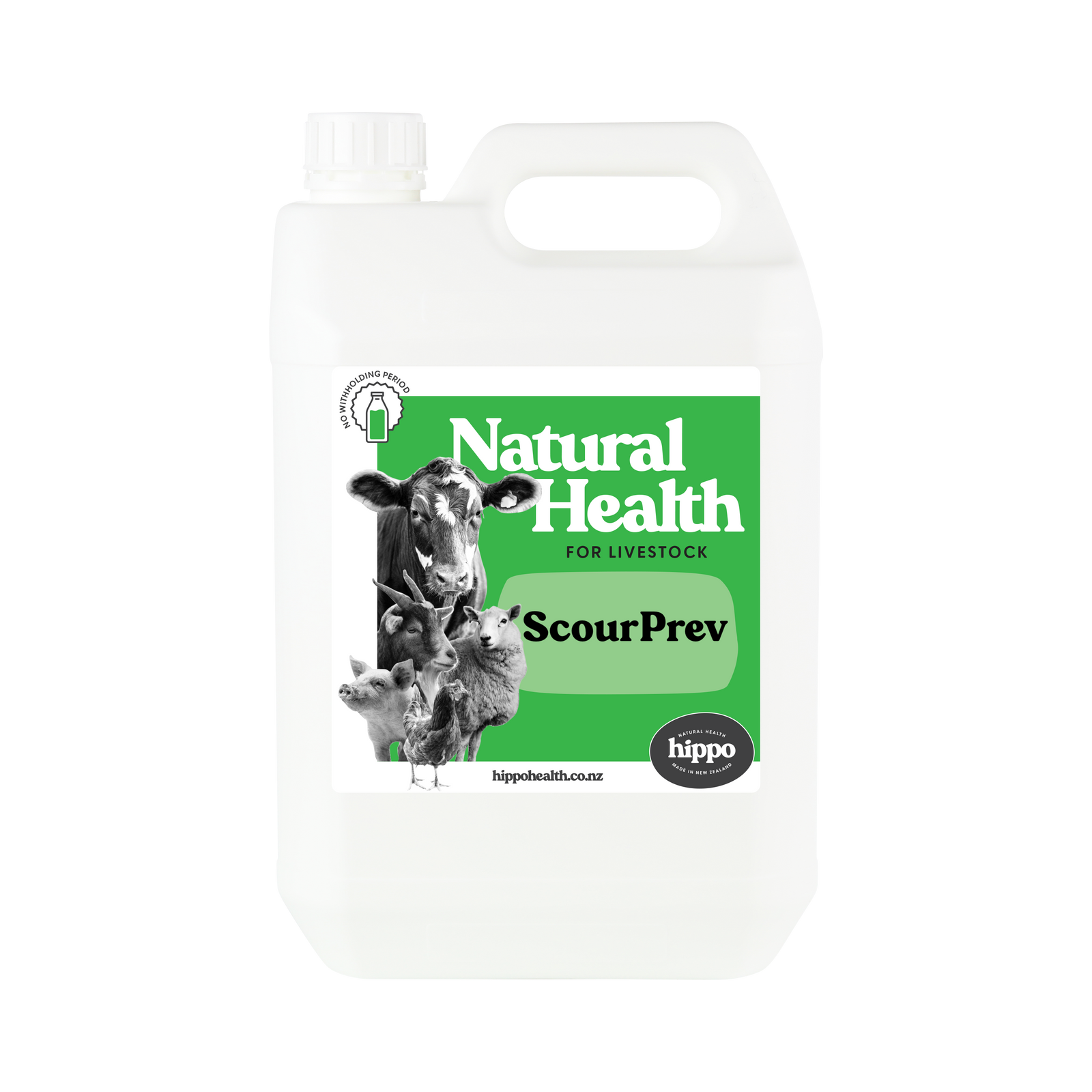 ScourPrev