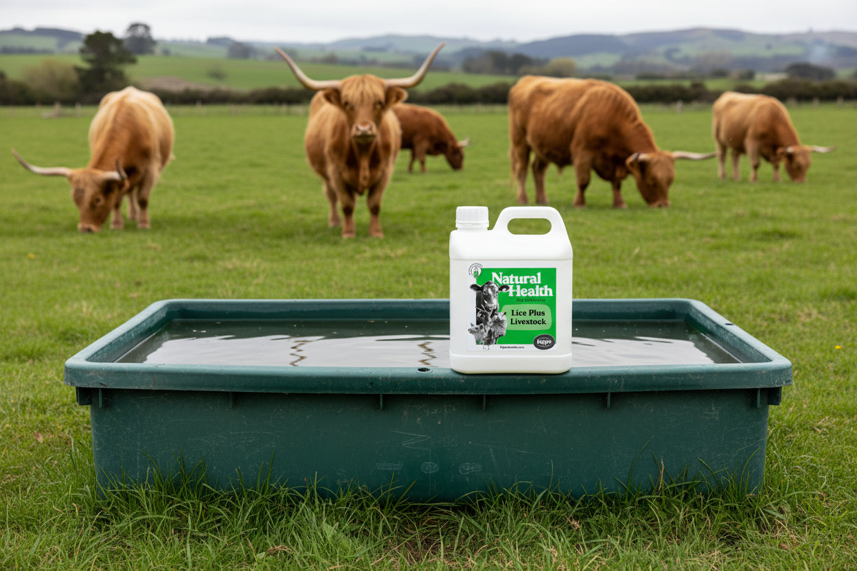 Lice Plus Livestock