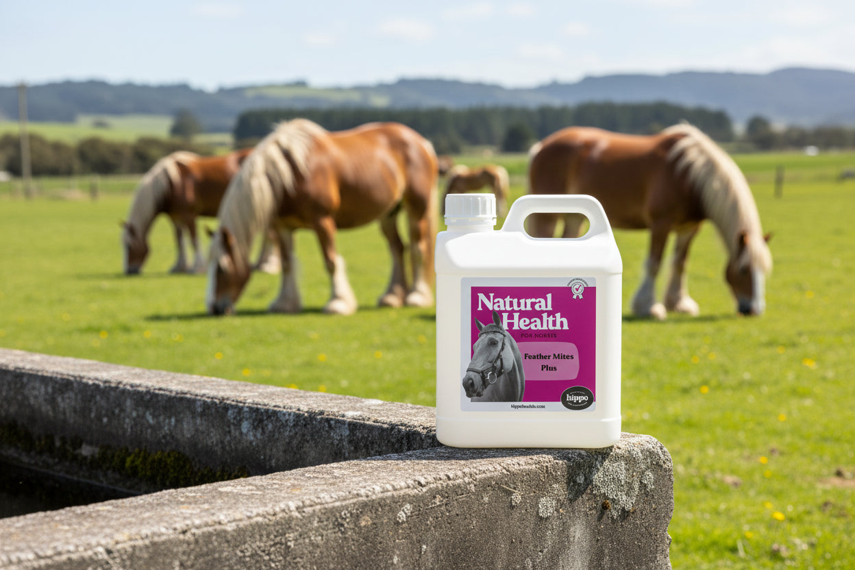 Feather_Mites_Plus_for_Horses_2L | Hippo Health