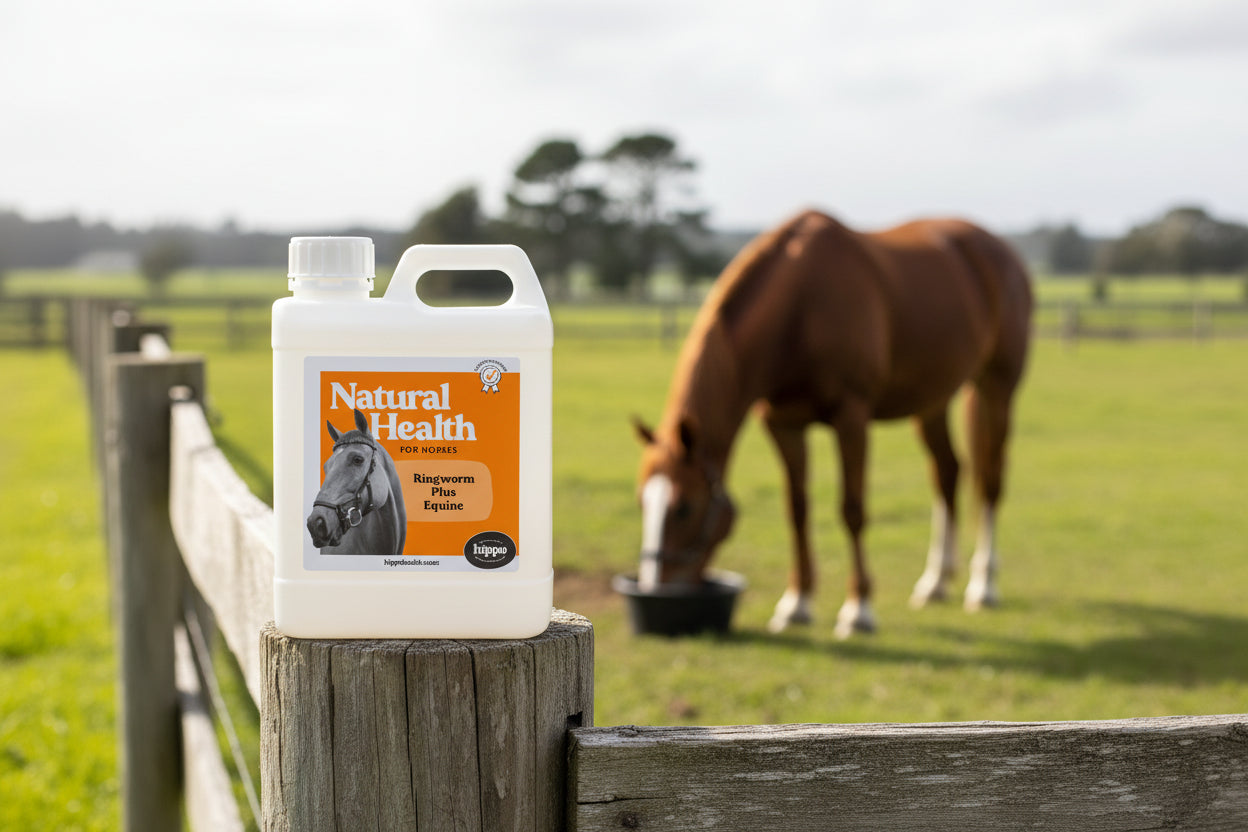 Ringworm_Plus_Equine_for_Horses -1L | Hippo Health