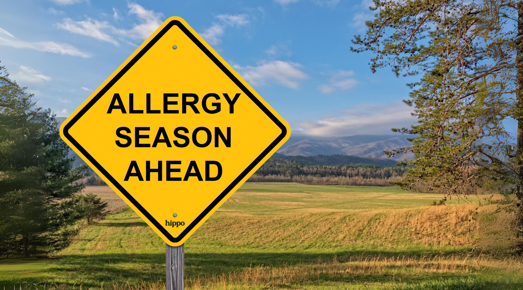 A rural scene full of grasses and trees with a yellow road sign that reads "Allergy Season Ahead". This blog post is about SEASONAL ALLERGIES IN HORSES, PETS AND PEOPLE: CAUSES, SYMPTOMS AND REMEDIES.