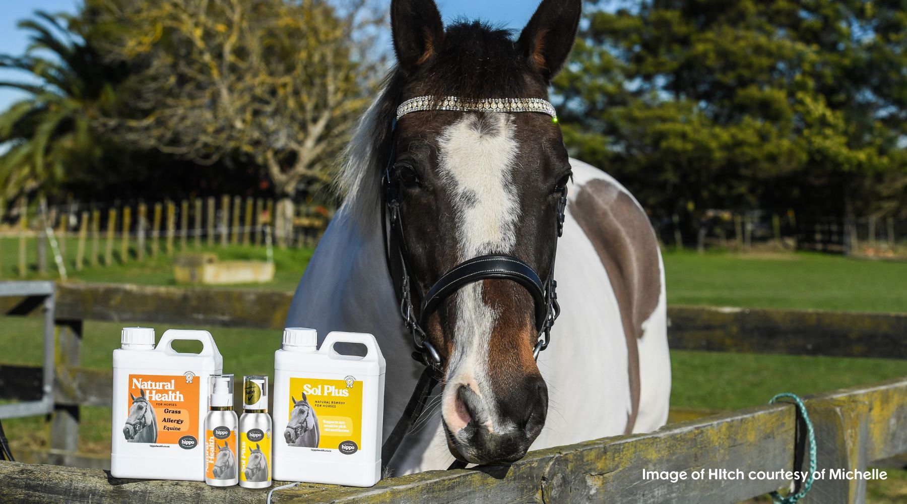 Should I use your Pump Bottle or Jerry Can Natural Remedies for Horses?