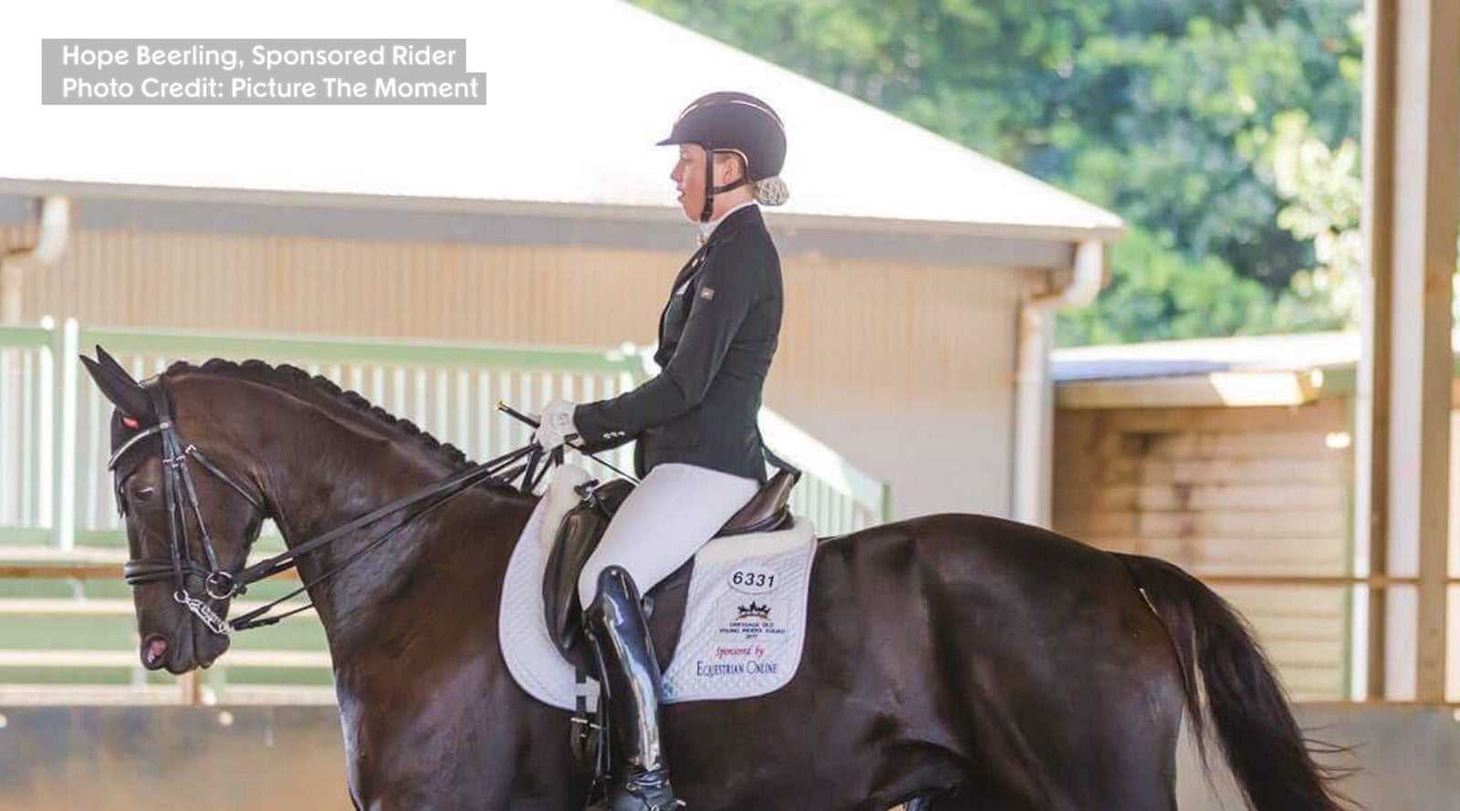 Get Ready For Show Season - 6 Natural Remedies for Horses & Riders