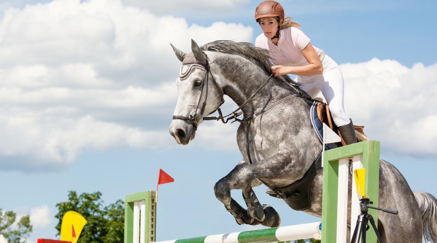Surviving Show Season – 7 Natural Remedies for Riders