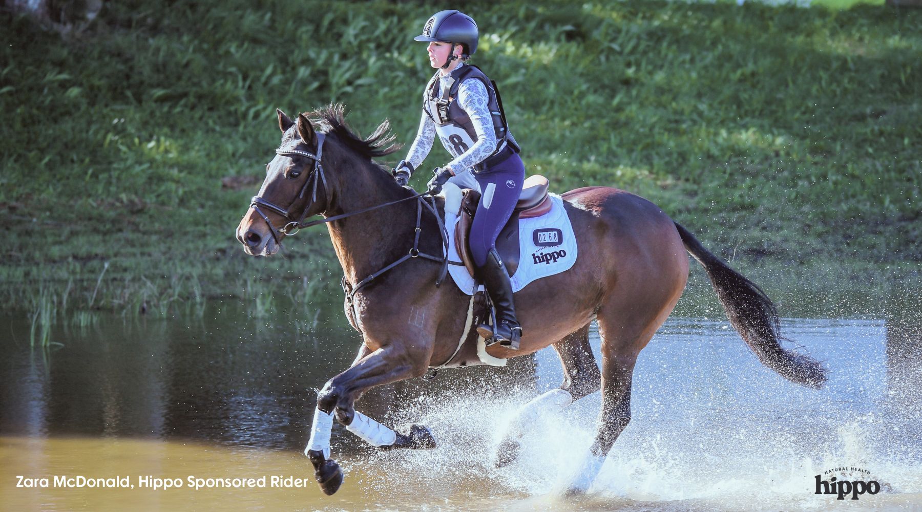 How to help your horse bounce back from Show Day with Hippo Health 100% natural remedies for horses, riders and equestrians