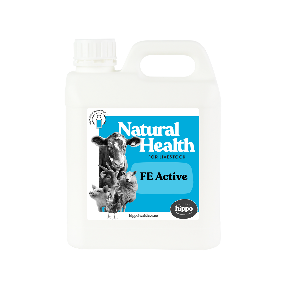 FE Active