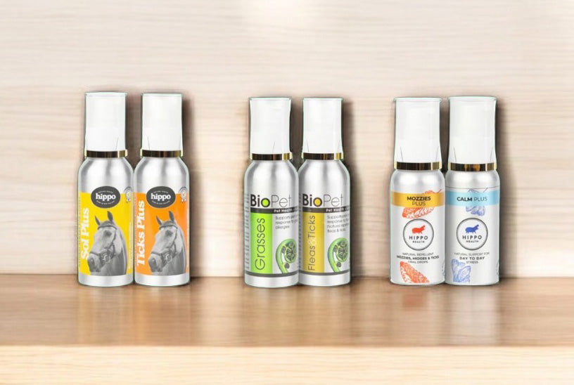 A selection of bestselling remedies on a wooden surface