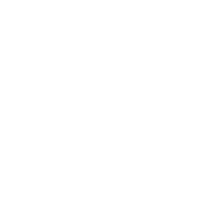 This icon shows a gluten free symbol