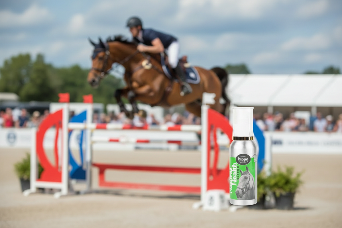 Performance Plus - Equine