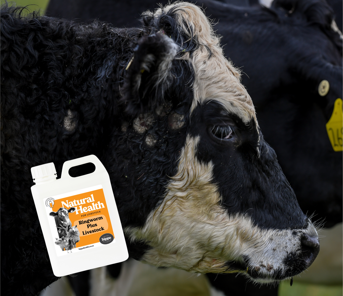Ringworm Plus - Livestock