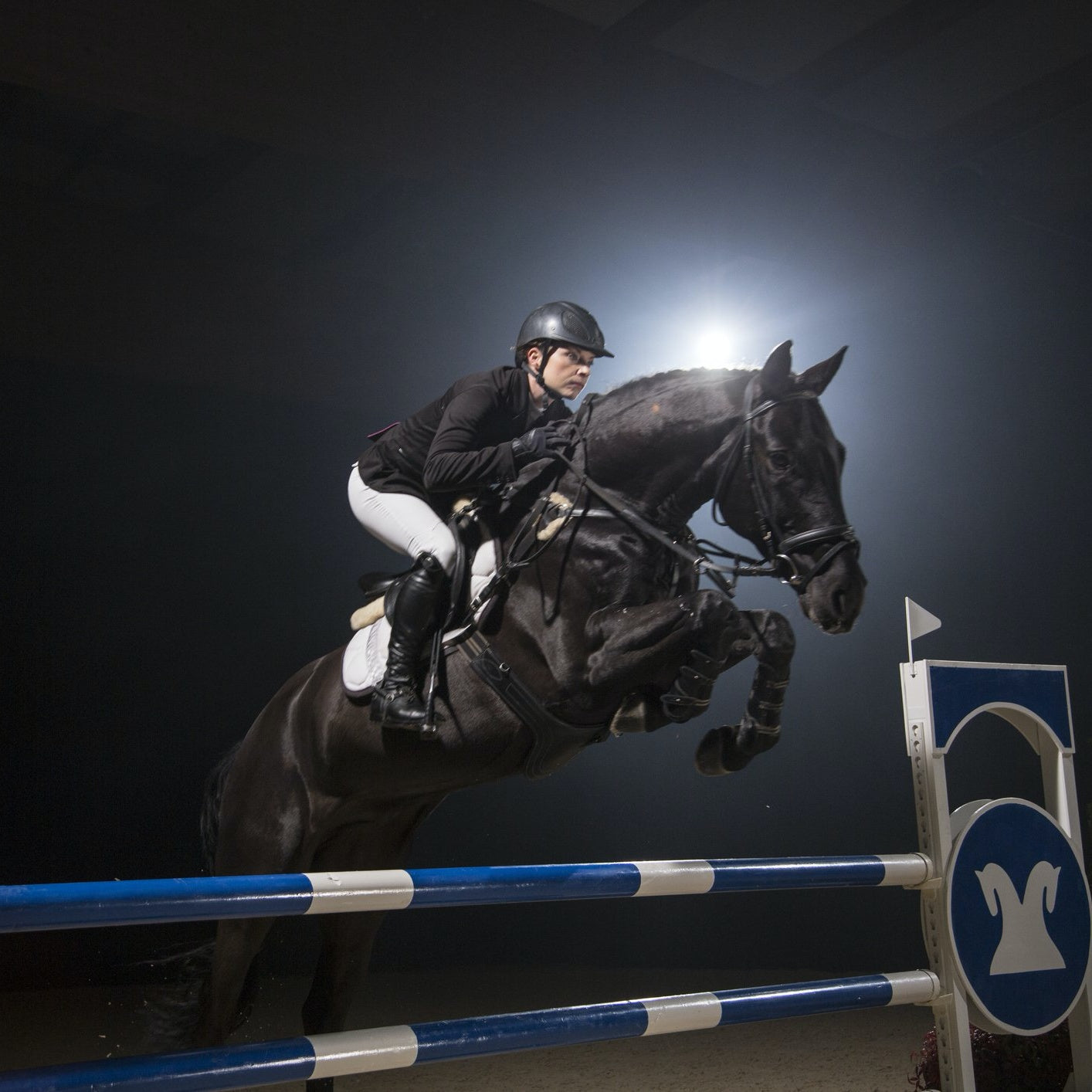 Braveheart_for_Riders | Hippo Health