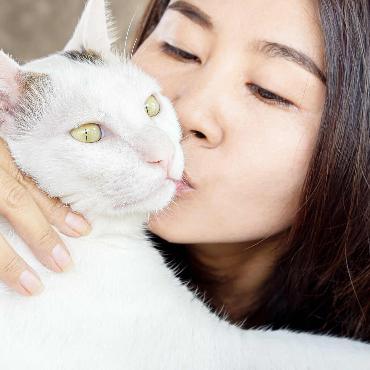 Cat Allergy Plus for People | Hippo Health