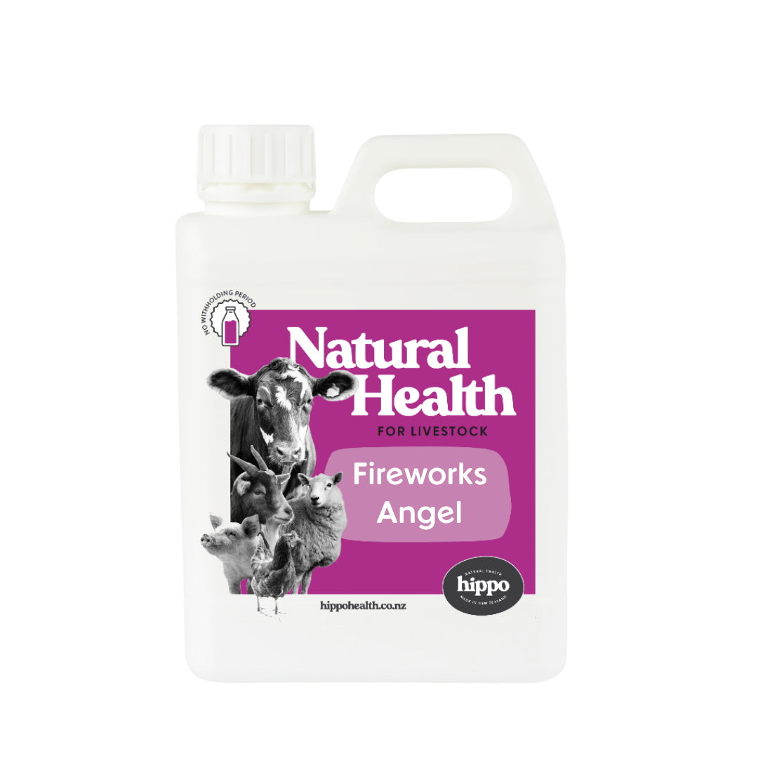 Fireworks Angel - Livestock for Livestock | Hippo Health