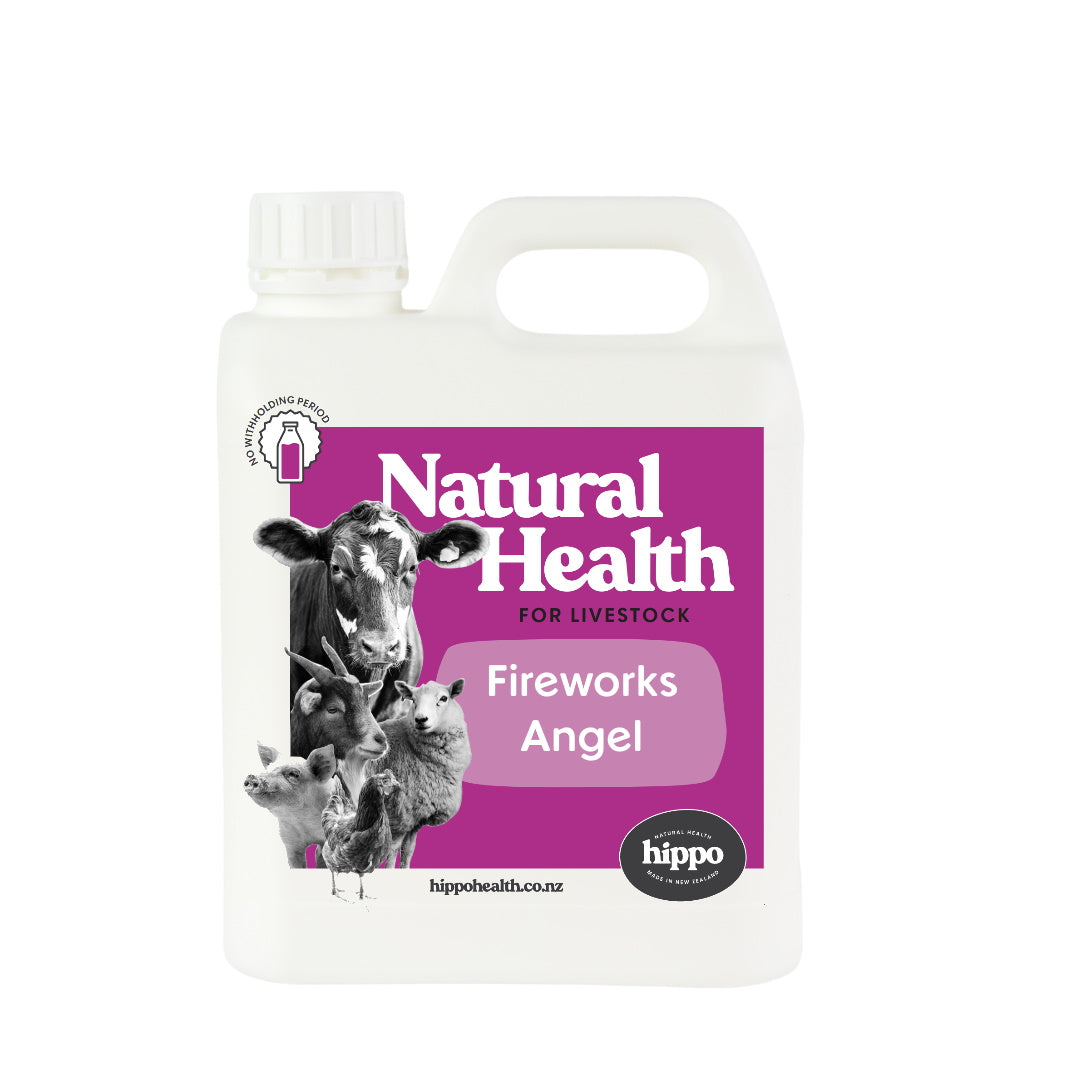 Fireworks Angel - Livestock for Livestock | Hippo Health