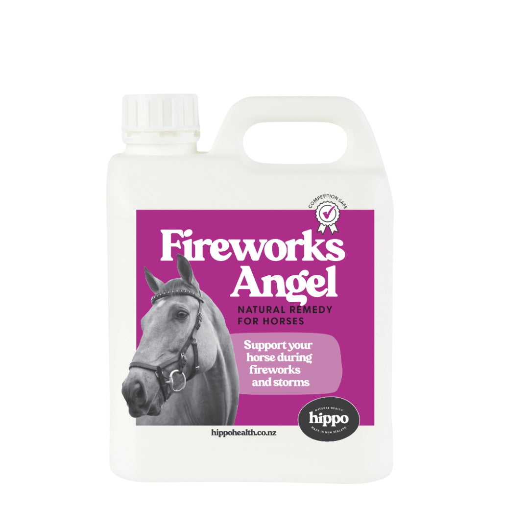 Fireworks_Angel_Equine_for_Horses_2L | Hippo Health