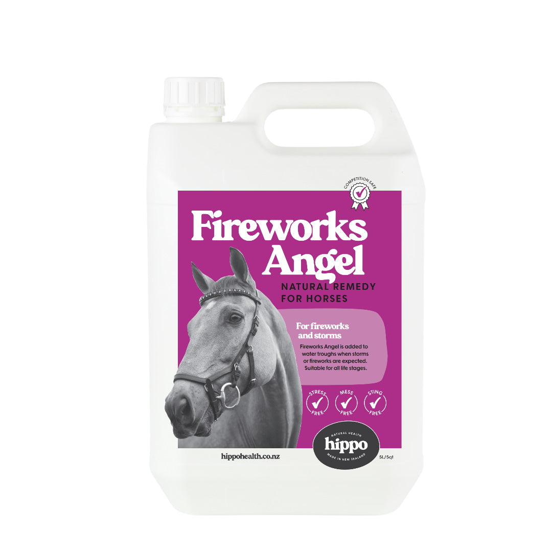 Fireworks_Angel_Equine_for_Horses_5L | Hippo Health