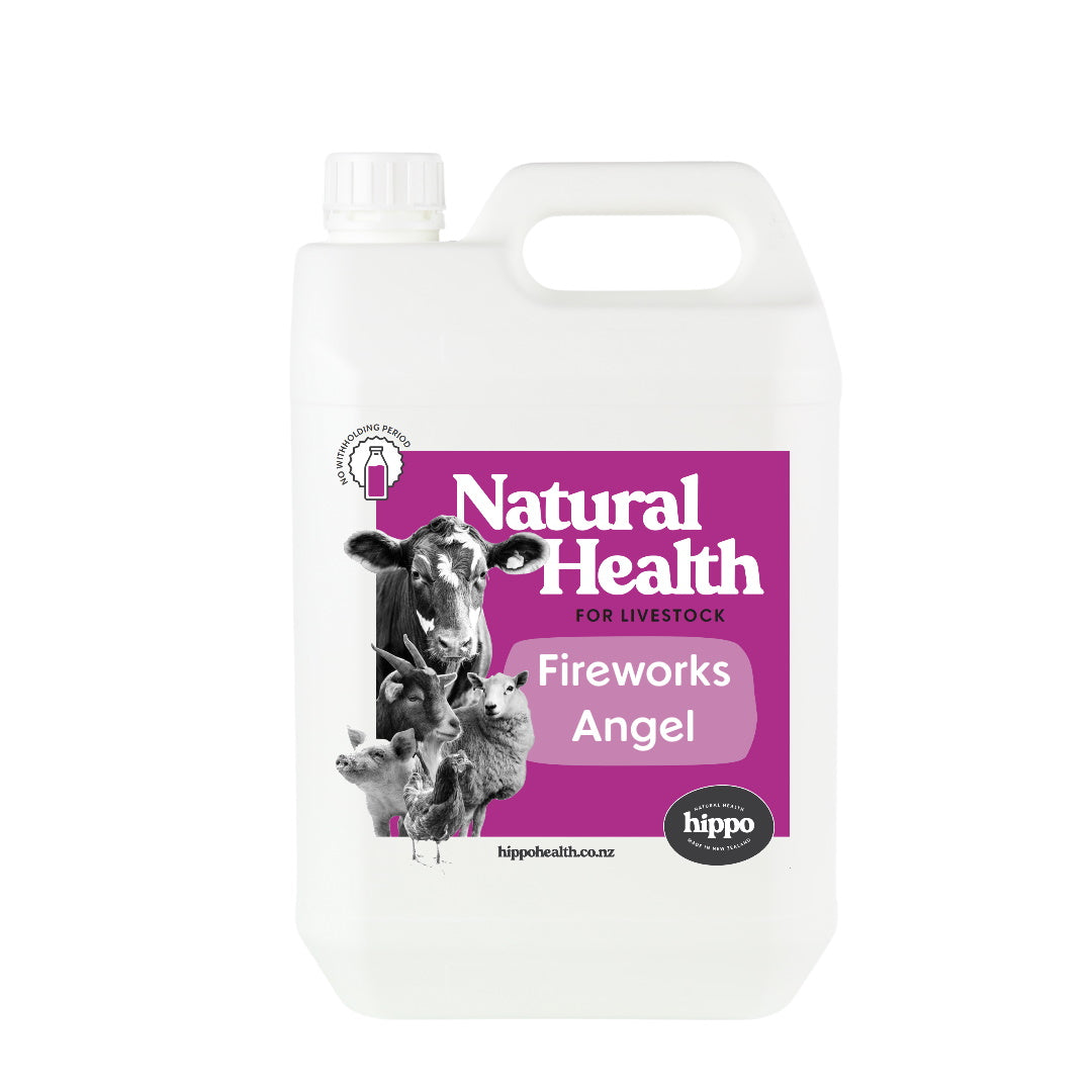 Fireworks_Angel_Livestock_5L | Hippo Health
