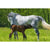 Mothering Plus - Equine for Horse | Hippo Health