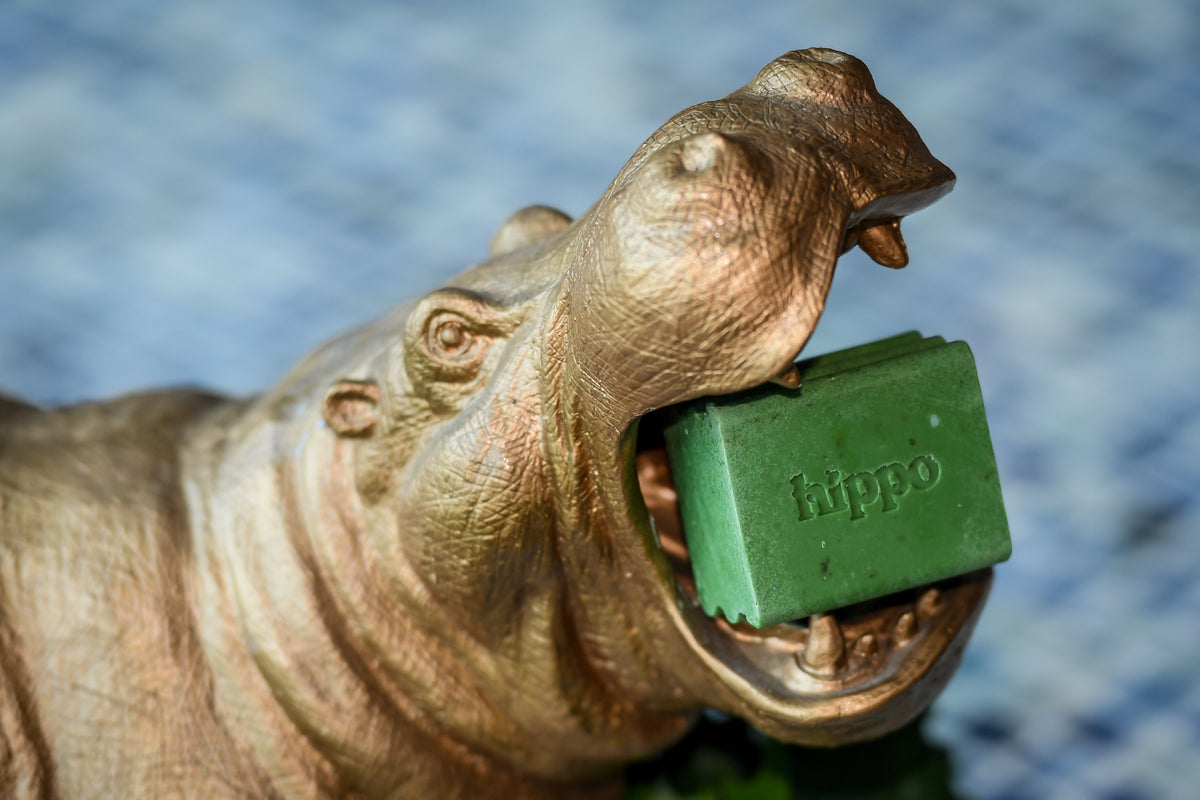 Kawakawa Clean Shampoo Bar by Hippo Health