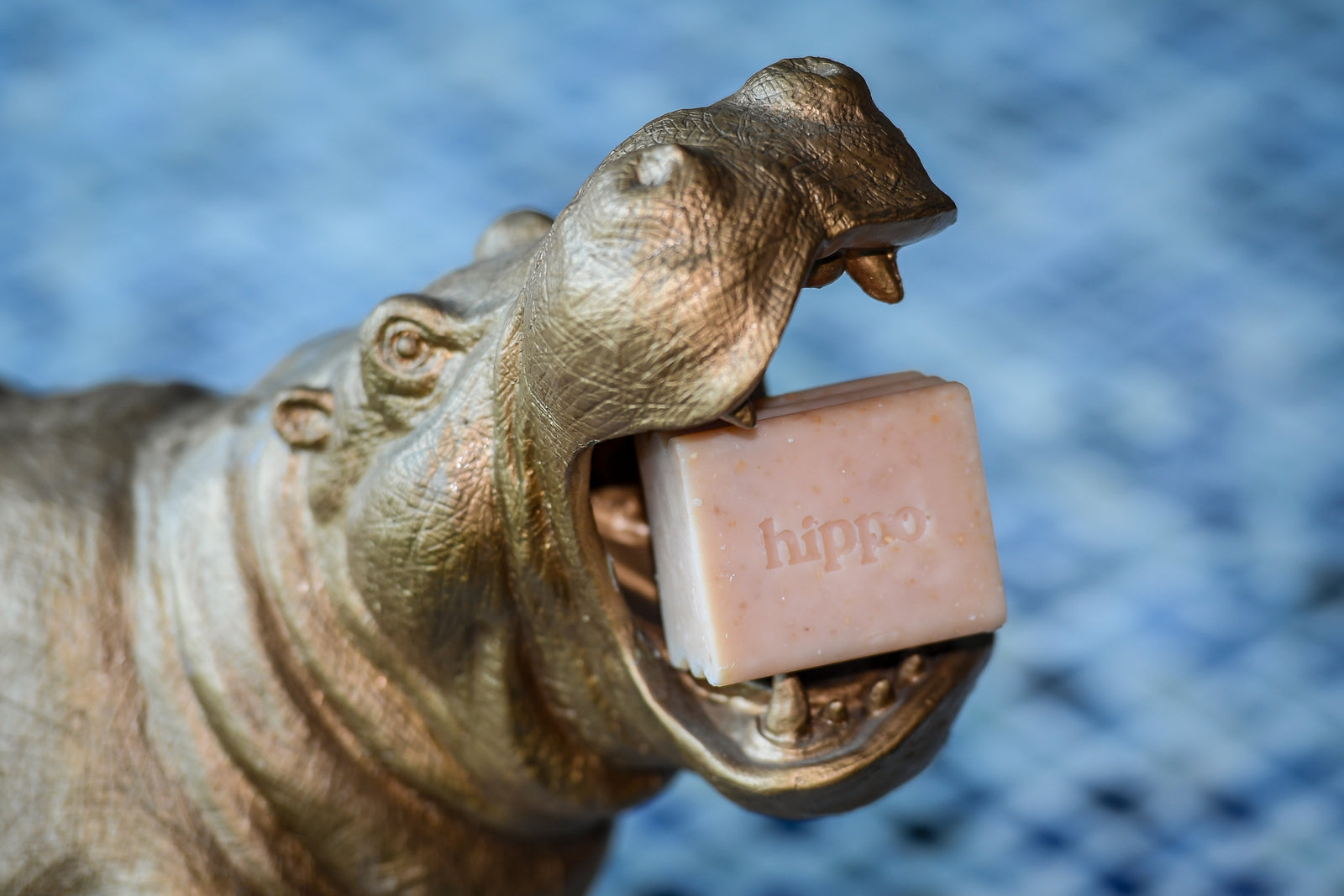 Refresh Shampoo Bar by Hippo Health