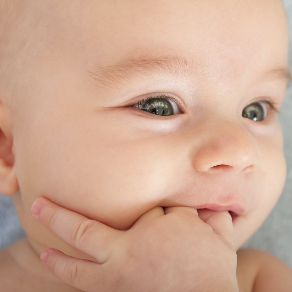 Teething Plus for People | Hippo Health