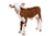 Scours Plus - Livestock (Acute Cases) for Livestock | Hippo Health