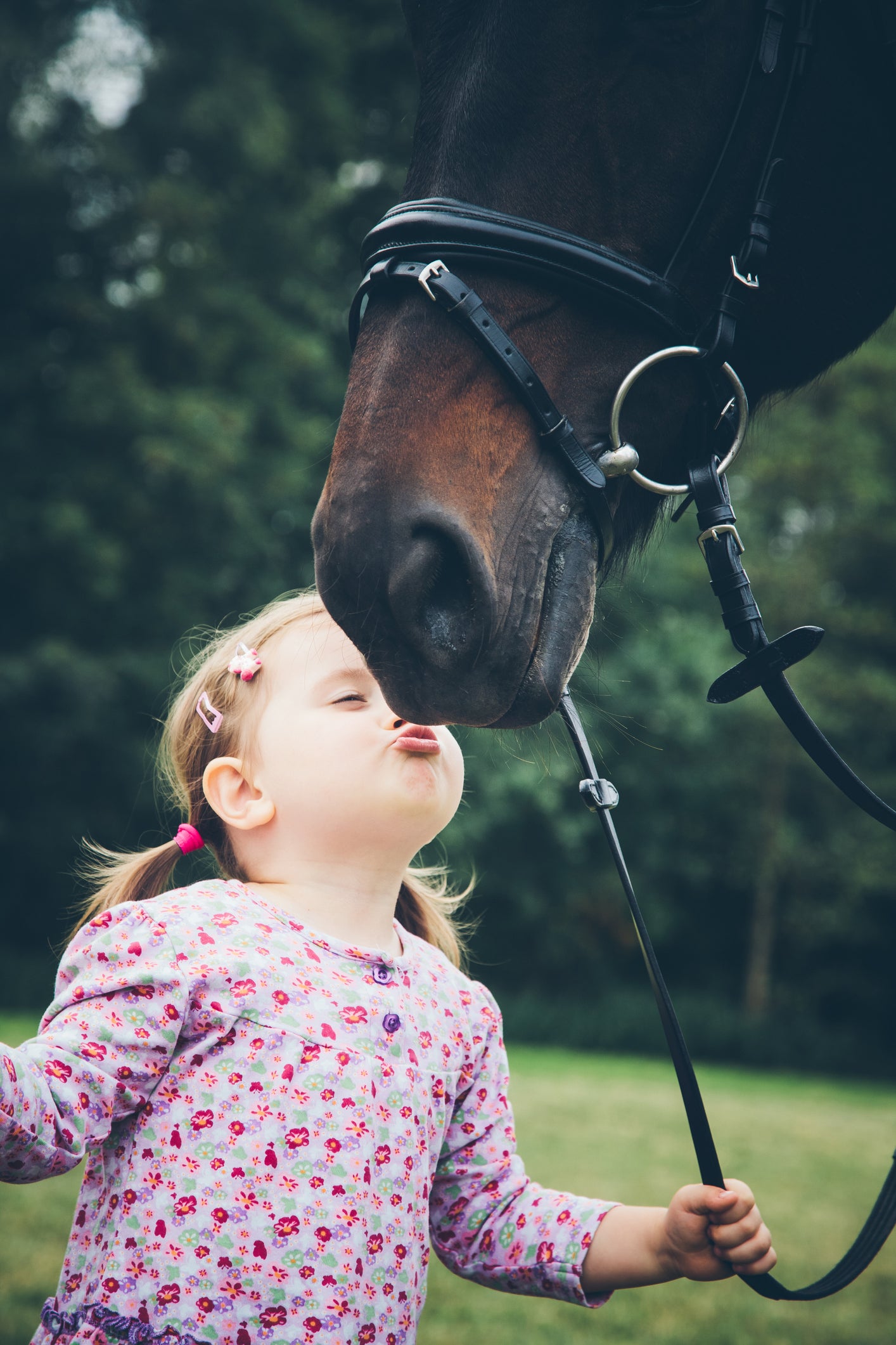 Allergy to Horses Plus for People | Hippo Health